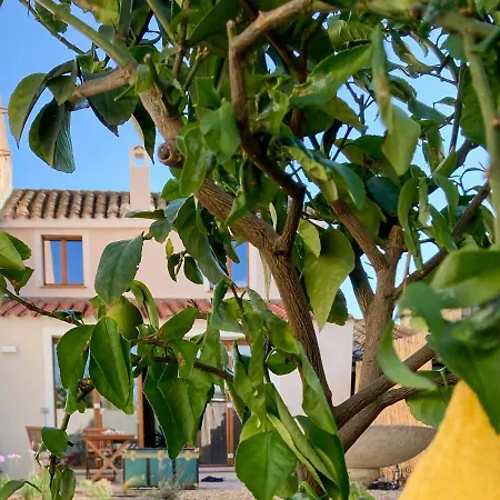 Beni Benius - Typical Restored House In Holiday home *